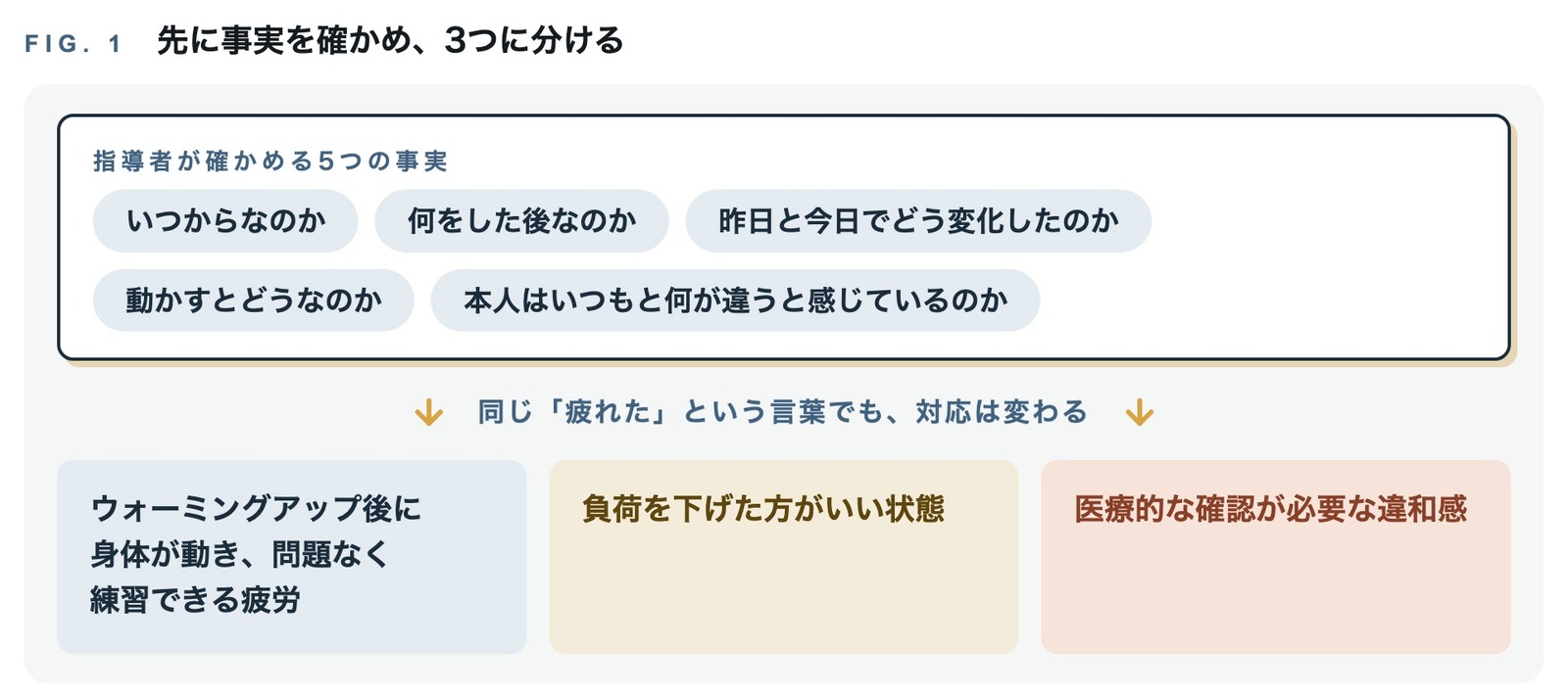いつからなのか、何をした後なのか、昨日と今日でどう変化したのか、動かすとどうなのか、本人はいつもと何が違うと感じているのか。この5つを確かめたうえで、練習できる疲労、負荷を下げた方がいい状態、医療的な確認が必要な違和感の3つに分ける流れを示した図